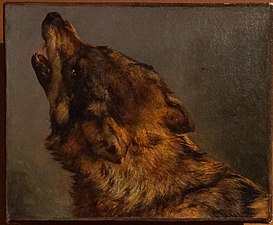 Tête de loup[20], musée des Beaux-Arts de Reims.