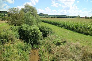 Ščavnica: Opis reke, Hidronim in etimologija, Hidrogeografija