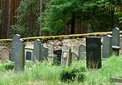 Čeština: Náhrobky na židovském hřbitově v Drážkově / Radobylu, okres Příbram, Středočeský kraj. English: Tombstones at the Jewish cemetery in Drážkov, Příbram District, Central Bohemian Region, Czech Republic.