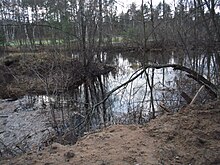 Сток Ржавой Канавы в северный рукав реки Малая (Заводская) Сестра