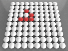 Red glider on the square lattice with periodic boundary conditions Igra "Zhizn'".gif