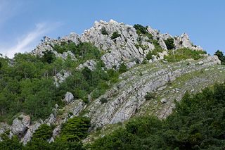 <span class="mw-page-title-main">Qarabiy yayla</span> Mountain range and nature reserve in Crimea