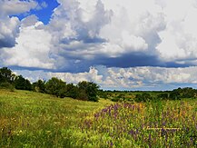 Червень в Україні