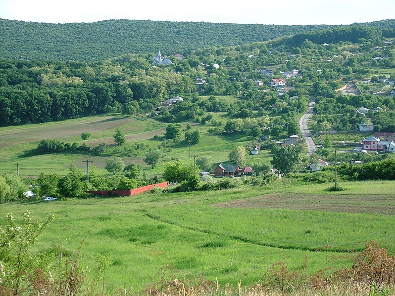 File:..to agafton - panoramio.jpg