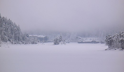 Foggy winter day at the Eibsee