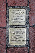 2015-02-01 Hannover Stolperstein Jenny und Hans Rosenbaum.jpg