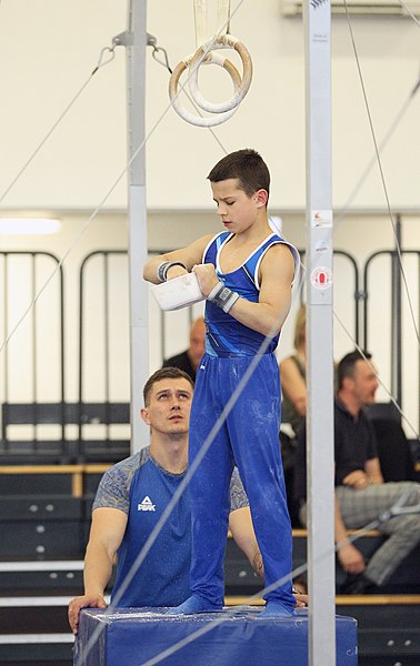 File:2019-05-25 Budapest Cup age group III all-around competition still rings (Martin Rulsch) 004.jpg