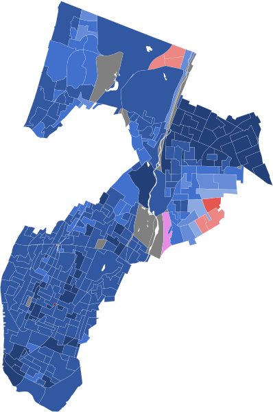 File:2022 New York's 15th congressional district election results map by precinct.svg