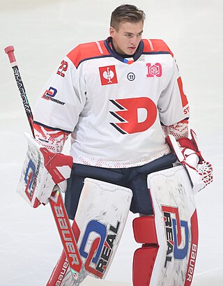 <span class="mw-page-title-main">Roman Will</span> Czech ice hockey goaltender