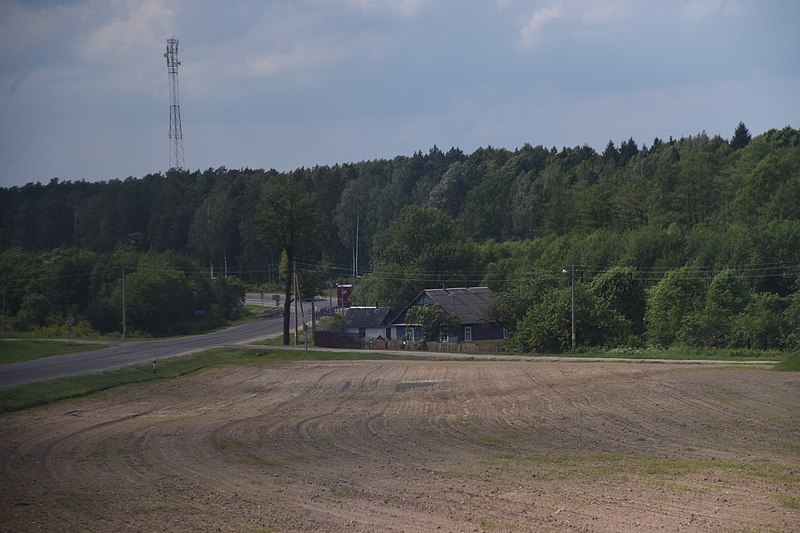 File:4698 Minčyki Деревня Минчики Belarus May 2019.JPG