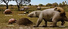 Life restoration of P. brasiliense (lower left) and contemporary animals A-Pleistocene-meso-megamammals-from-Sergipe-Brazil.jpg