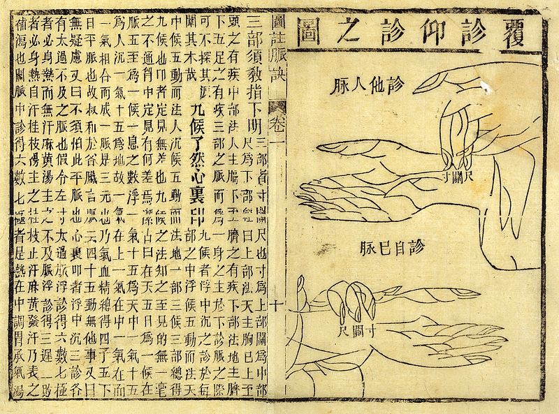 File:A treatise on the pulse published by Wang Wellcome L0031715.jpg