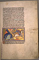 Folio 8 recto : Tiger (Tigris).