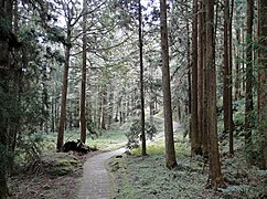 Alishan National Scenic Area