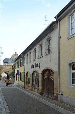 Alzey, Schlossgasse 20