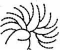 Pisipilt versioonist seisuga 23. juuni 2005, kell 23:33