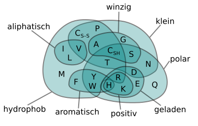 File:Amino Acids Venn Diagram (de).svg