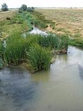 Miniatura para Río Ucieza