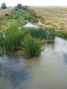 Çizim