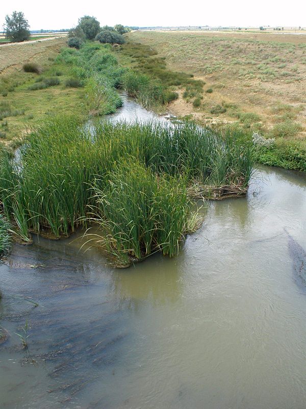 Río Ucieza