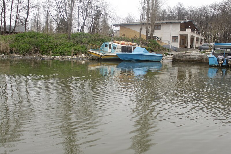 File:Anzali lagoon by Mardetanha 6118.JPG