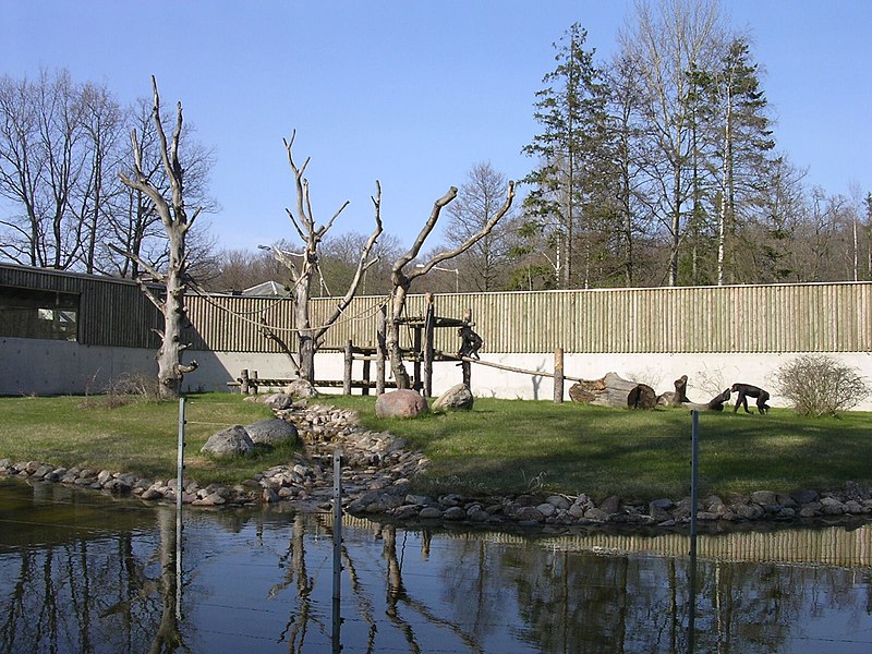 File:Apes at Tallinn Zoo - panoramio.jpg