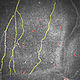 Image noir et blanc de nerfs de la cornée en microscopie