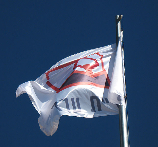 File:Arad Flag.jpg