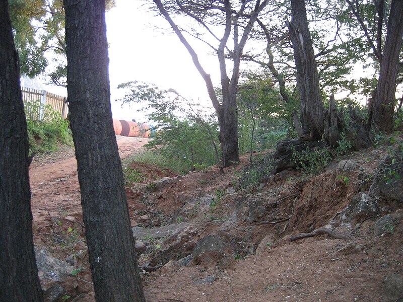 File:Aralvaimozhi-fort-remains1.jpg