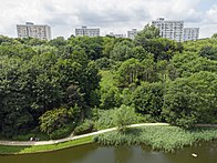 Skarpa nad stawem. Na jej szczycie widoczne osiedle Skarpa Puławska