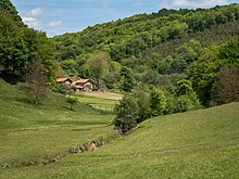 Meadows near the Arlaban mountain pass