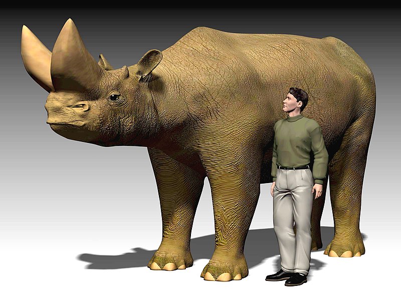 File:Arsinoitherium scale NSF.jpg