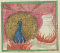 folio 16 verso - 34