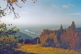 Königstuhl im Herbst mit Blick auf die Fliegwiese und den Neckar