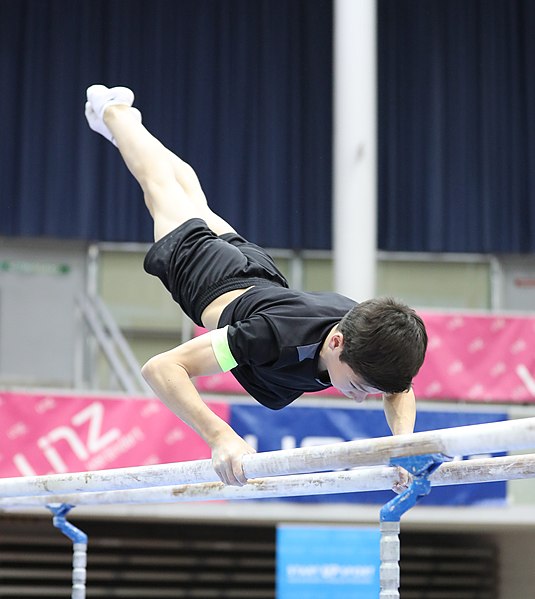 File:Austrian Future Cup 2018-11-23 Training Afternoon Parallel bars (Martin Rulsch) 0632.jpg