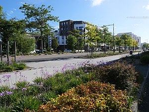 Anglet: Géographie, Urbanisme, Toponymie