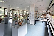 Impressionen einer Veranstaltung: GLAM-on-Tour: Antikenmuseum der Universität Heidelberg 2016