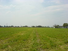 Farmland in the Bajío