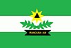 Bandeira de Iranduba.jpg