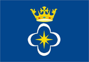 Vlag van Pombal