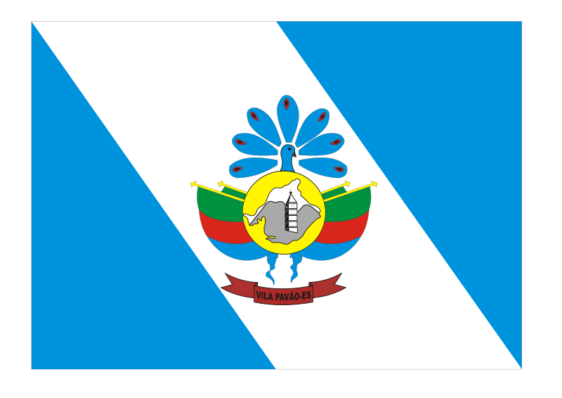 File:Bandeira vila pavao.svg