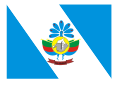 Bandeira de Vila Pavão