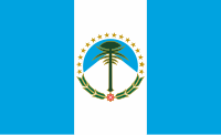 Bandera de Neuquén