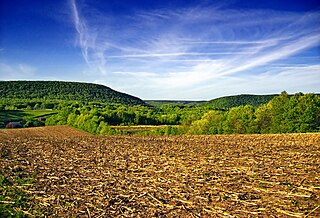 <span class="mw-page-title-main">Barry Township, Schuylkill County, Pennsylvania</span> Township in Pennsylvania, United States