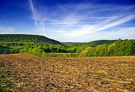 Barry Township Outland