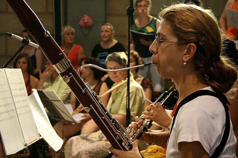 File:Bassoon (2643349909).jpg