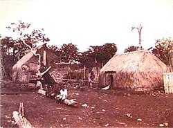 Domorodé chýše na ostrově (mezi 1890–1910)