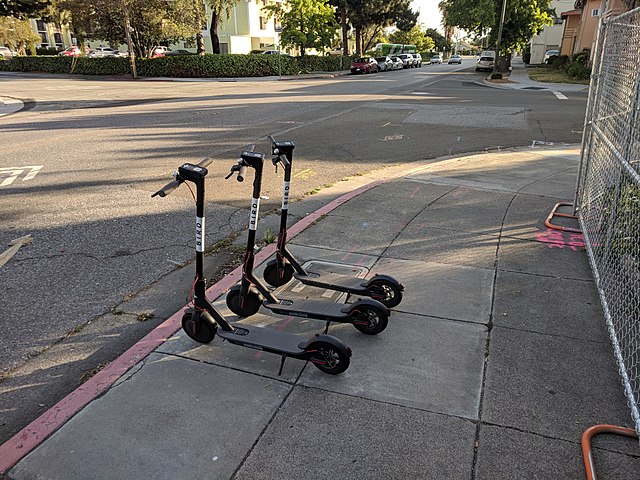 Bird Scooters