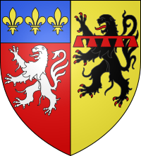 罗讷省 Rhône徽章