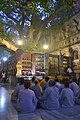 Ein Ort in Indien, wo Gautama unter einem Baum nachgedacht hat